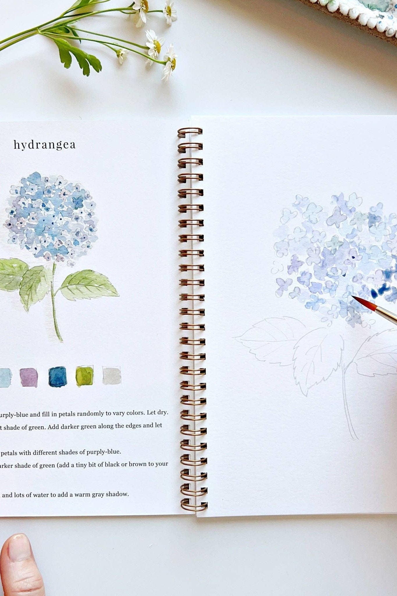 Flowers Watercolor Workbook