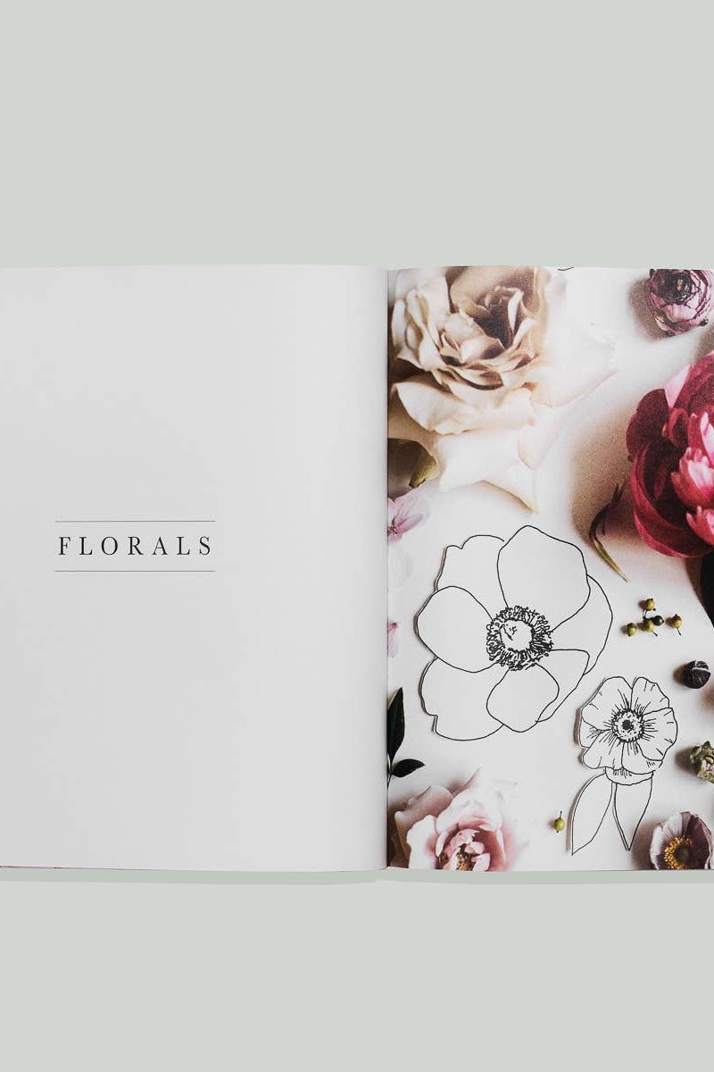 How to Draw Modern Florals (Mini)