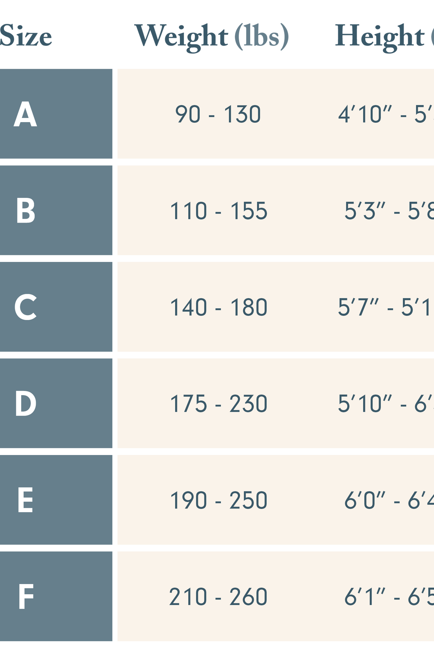 Sheer Tights - Contour (Black) - B