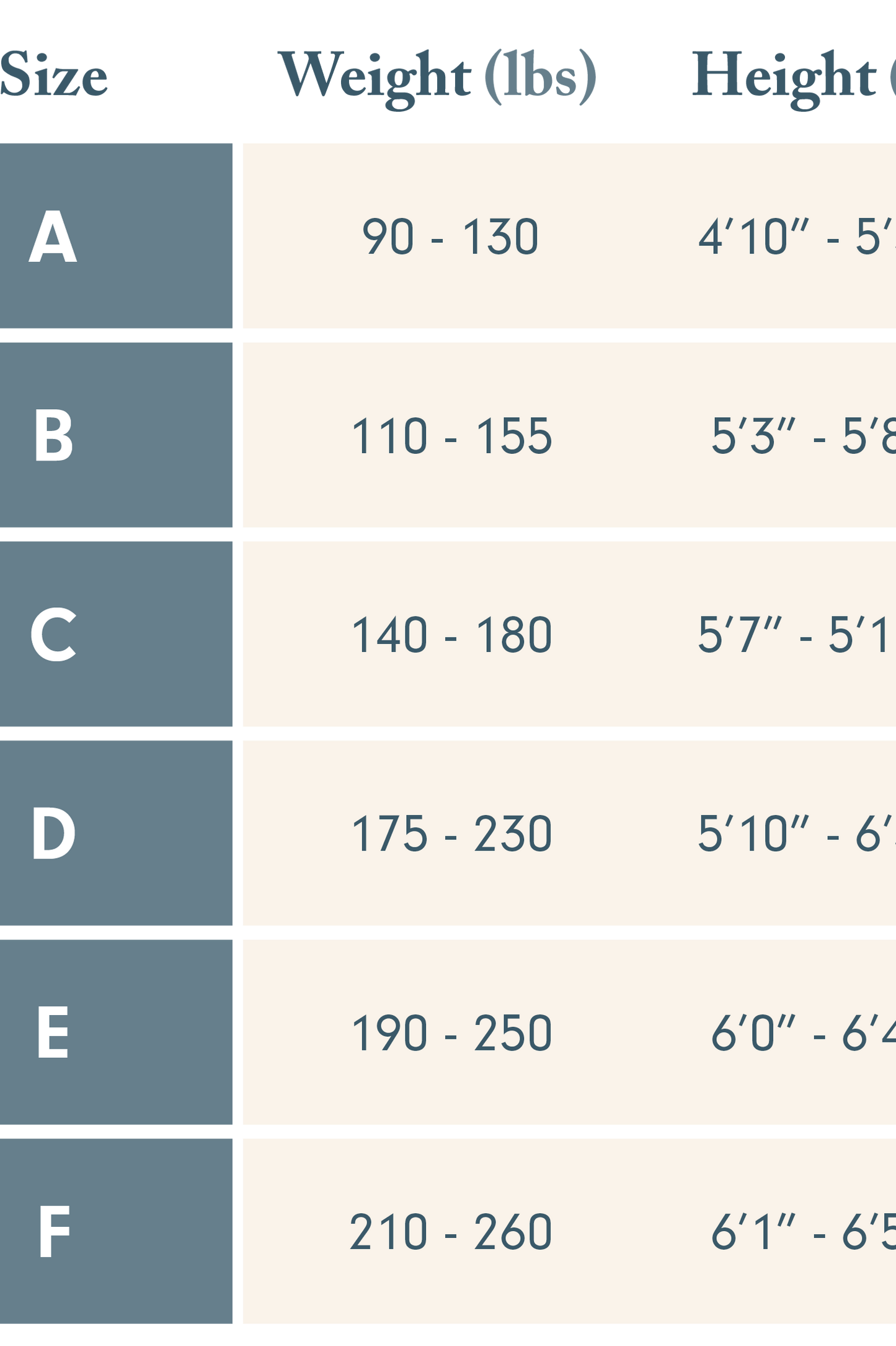 Sheer Tights - Contour (Black) - D