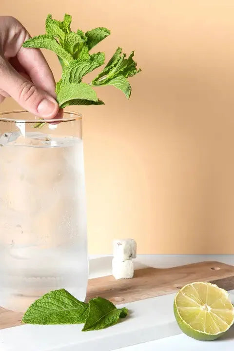 Mojito | Luxe Barista Cubes - Stick
