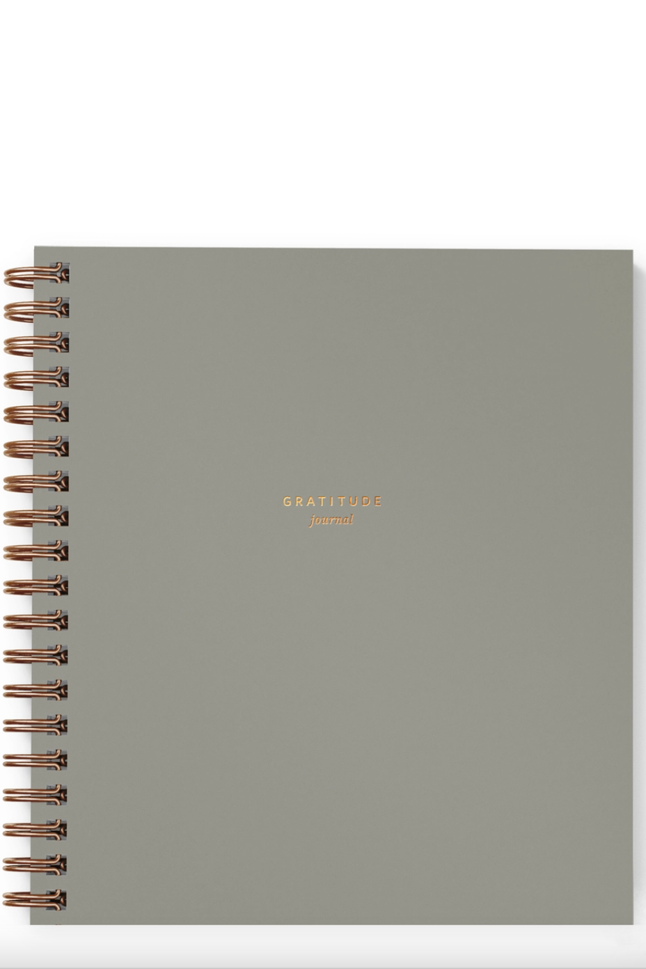 Mini Gratitude Journal- Light Sage