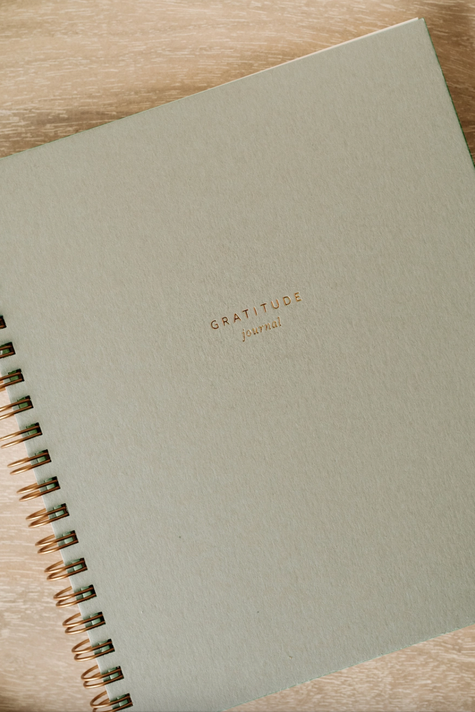 Mini Gratitude Journal- Light Sage