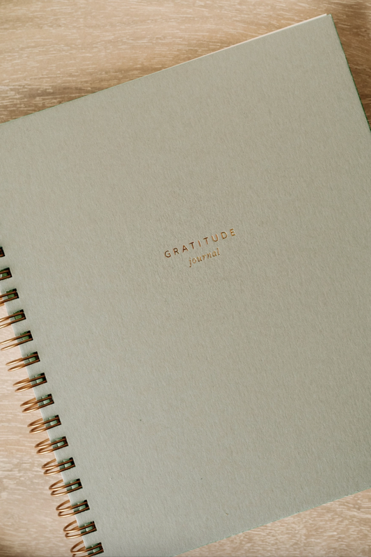 Mini Gratitude Journal- Light Sage