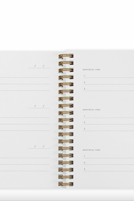 Mini Gratitude Journal- Chalk White