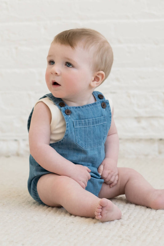 Organic Baby & Kids Noe Chambray Bubble Overall: 6-12M