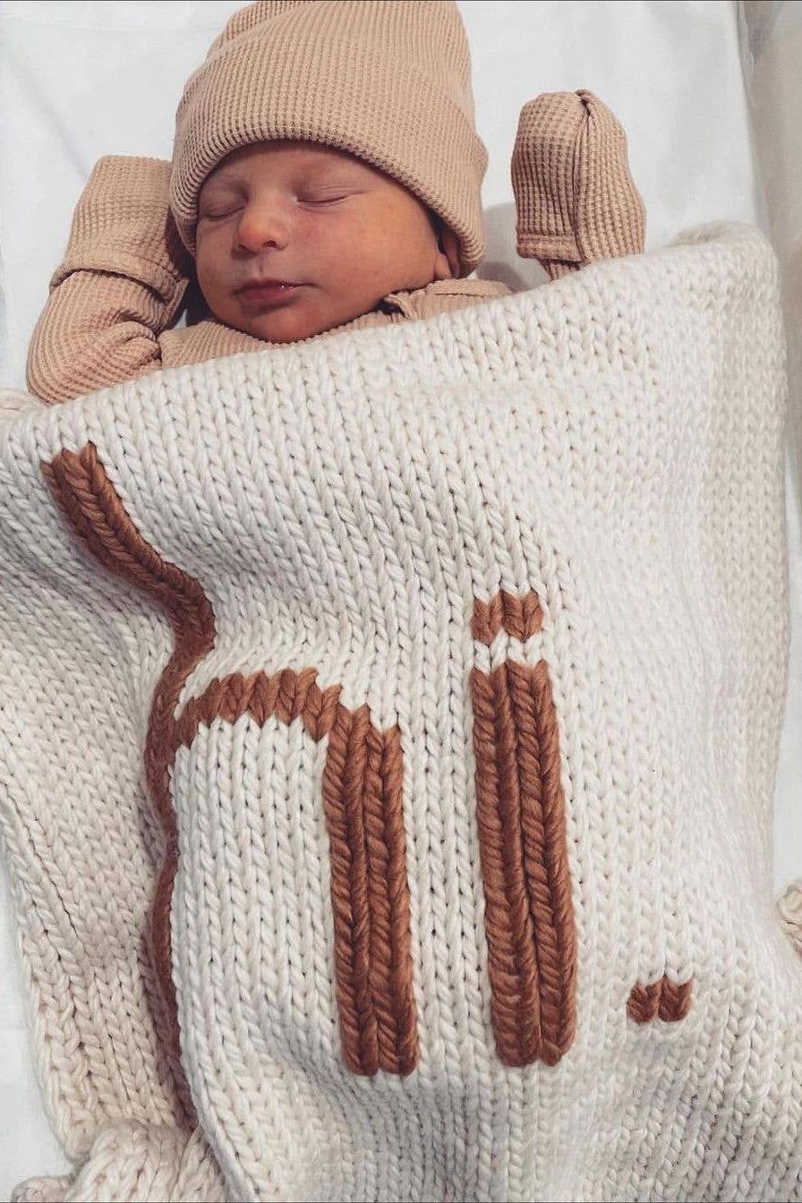 Hi. Hand Knit Baby Blanket Pecan: Pecan