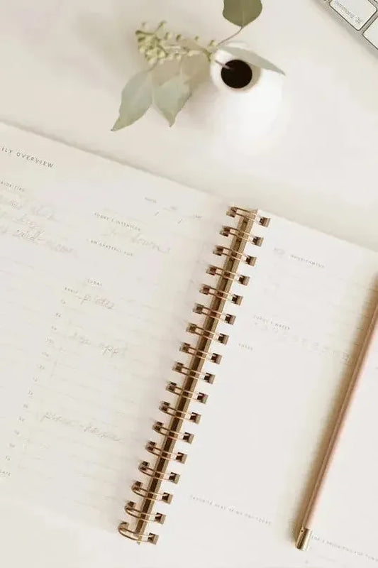Daily Overview Planner - Lavender // Undated