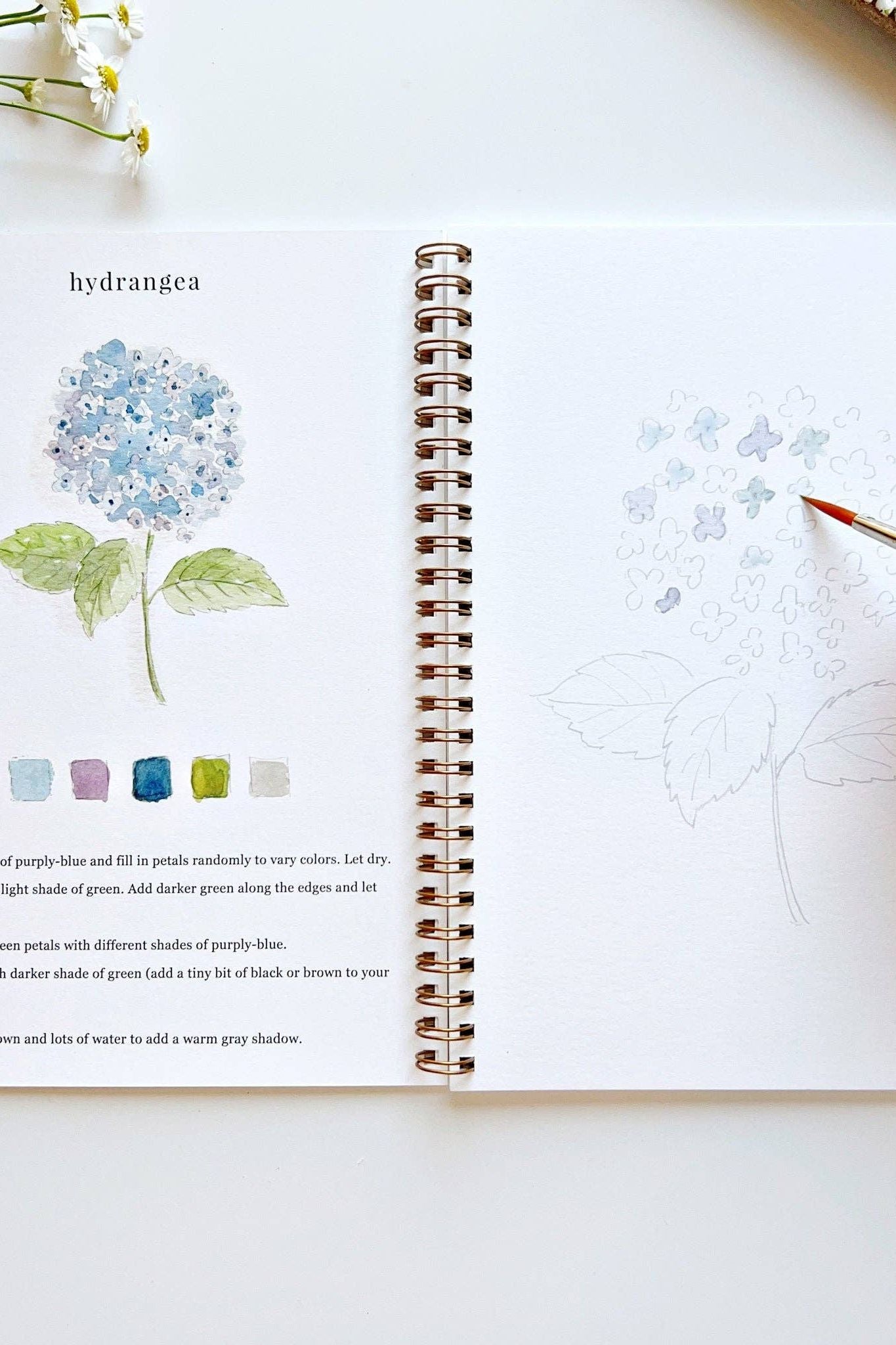Flowers Watercolor Workbook