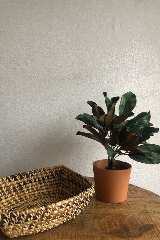 Woven Rectangle  Baskets - Large