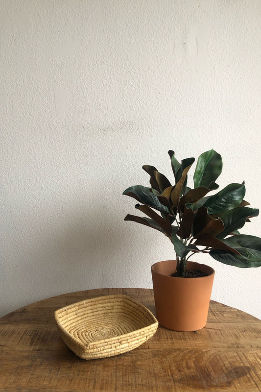 Woven Rectangle Baskets - small/ natural