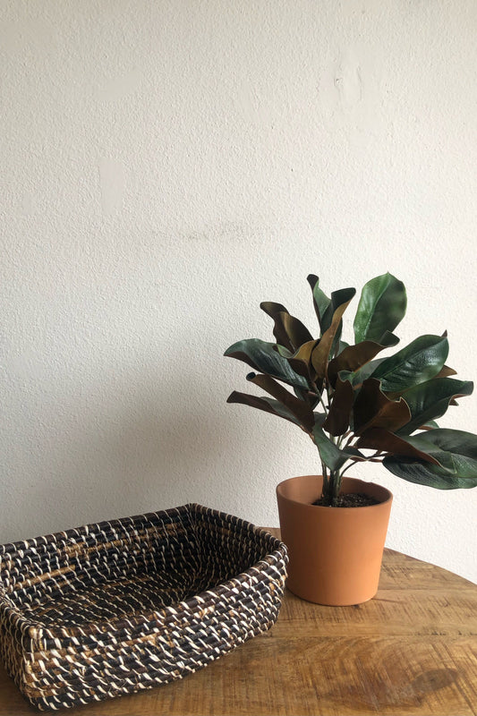 Woven Rectangle Baskets - black