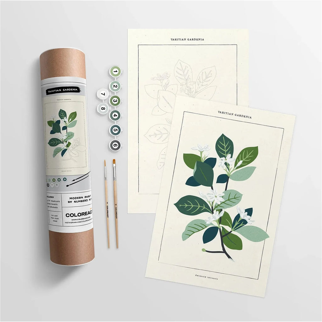 Tahitian Botanical | Modern Paint By Numbers Kit