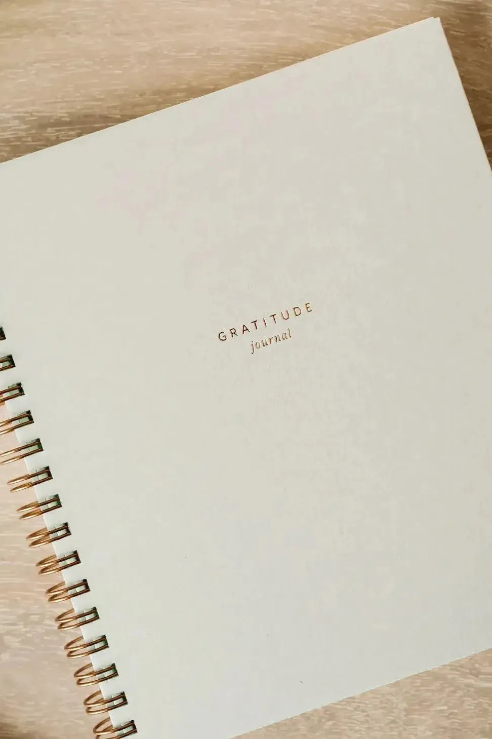 Ramona & Ruth - Mini Gratitude Journal in Chalk White