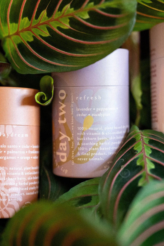 Day Two Natural Dry Shampoo: Lemongrass Eucalytpus