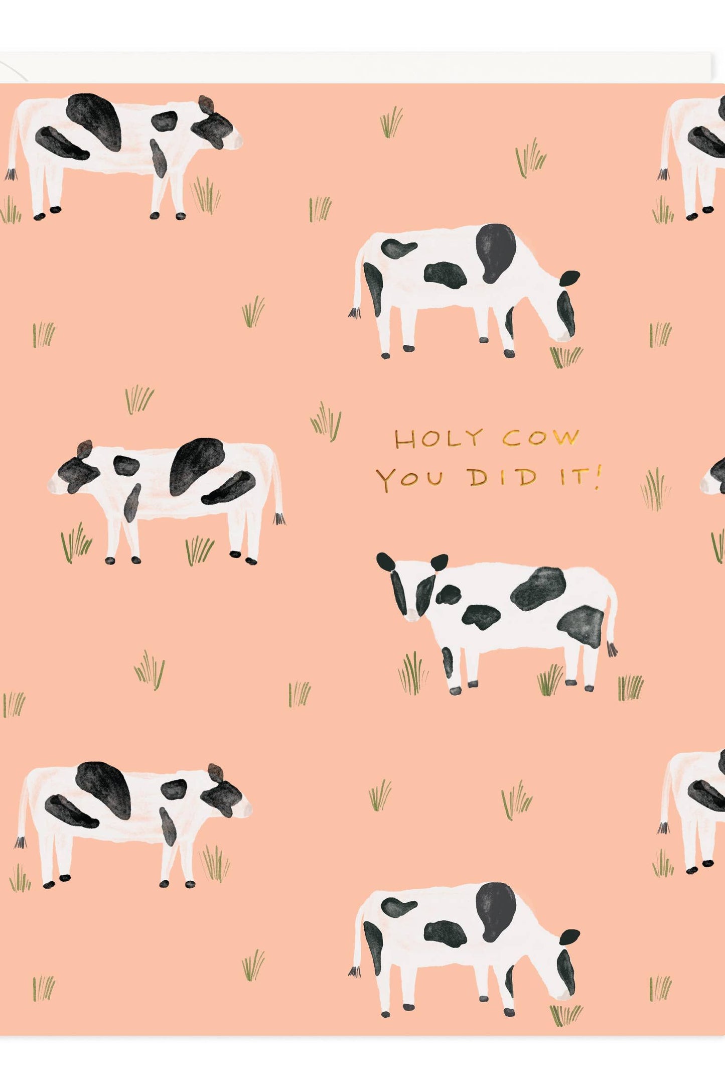 Cow Congrats Card