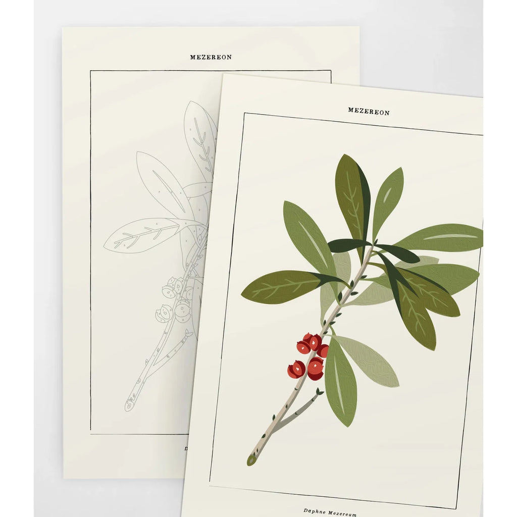 Mezereon Botanical | Modern Paint By Numbers Kit