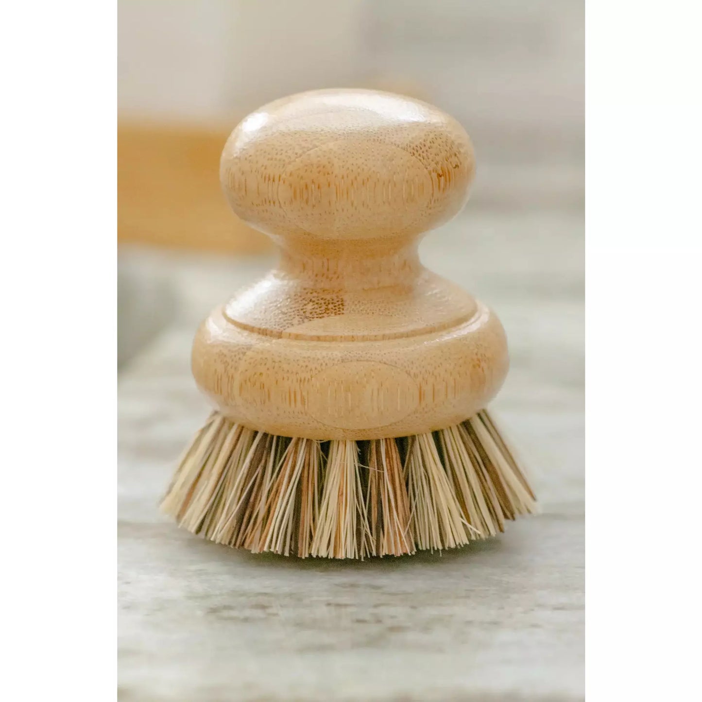 CASA AGAVE® Pot Scrubber Brush