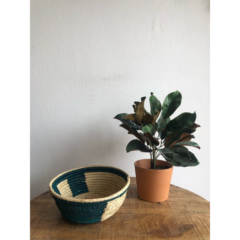 Woven  Basket - small teal